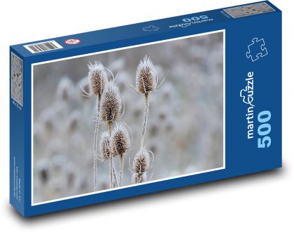 Teasel - rastlina, zima - Puzzle 500 dielikov, rozmer 46x30 cm 