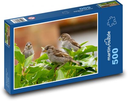 Wróbel - ptak, dziób - Puzzle 500 elementów, rozmiar 46x30 cm