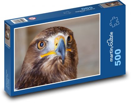 Myszołów - drapieżnik, ptak - Puzzle 500 elementów, rozmiar 46x30 cm
