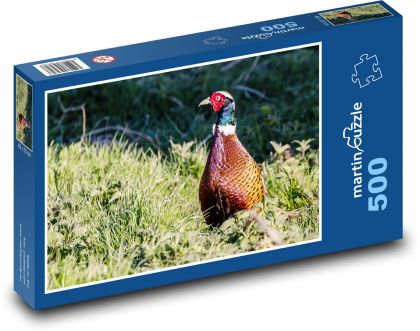 Pheasant - bird, hunting - Puzzle of 500 pieces, size 46x30 cm 
