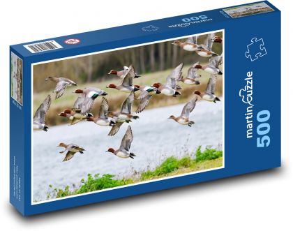 Letící kachny - ptáci, jezero - Puzzle 500 dílků, rozměr 46x30 cm