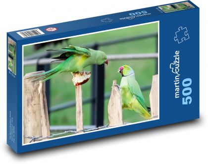 Papagáje na plote - boj, vtáky - Puzzle 500 dielikov, rozmer 46x30 cm 