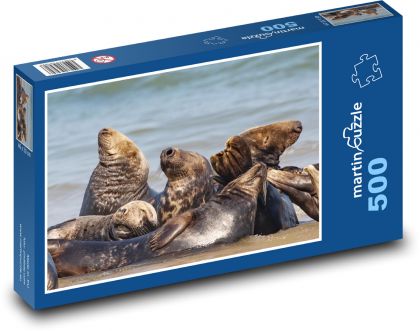 Foka pospolita - zwierzęta, morze - Puzzle 500 elementów, rozmiar 46x30 cm