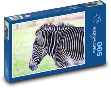 Zebra - Safari, pruhy Puzzle 500 - 46x30 cm