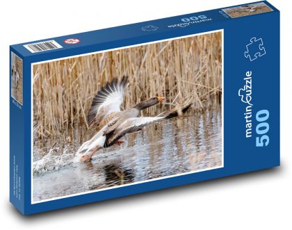 Lietajúci hus - vták, letieť - Puzzle 500 dielikov, rozmer 46x30 cm 