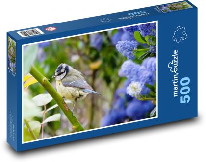 Sýkora modřinka - malý ptáček, krmení - puzzle 500 dílků