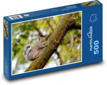 Veverička na strome - hlodavec, šedá veverička Puzzle 500 dielikov - 46 x 30 cm 