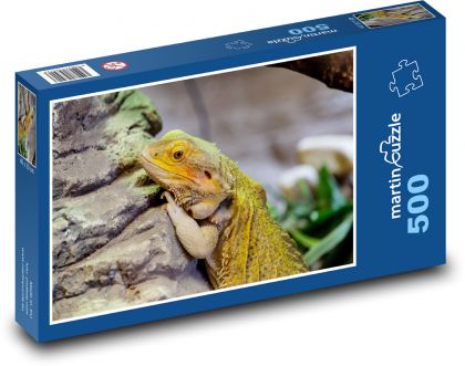 Agama - fúzatý drak, plaz - Puzzle 500 dielikov, rozmer 46x30 cm 