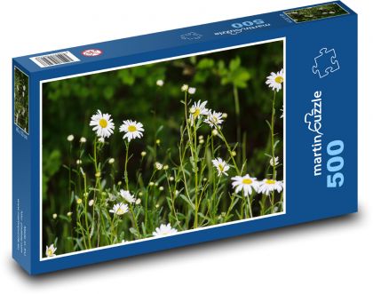 Kopretina - květina, luční kvítí - Puzzle 500 dílků, rozměr 46x30 cm