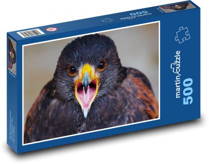 Eagle - bird of prey, predator - Puzzle of 500 pieces, size 46x30 cm 