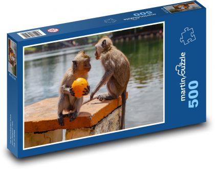 Makak a pomeranč - opice, voda - Puzzle 500 dílků, rozměr 46x30 cm