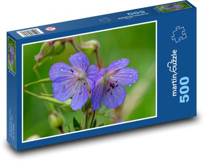 Modrá květina - okvětní lístky, louka - Puzzle 500 dílků, rozměr 46x30 cm