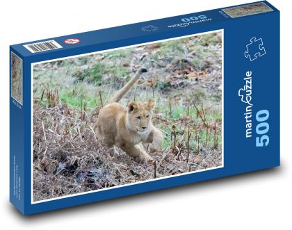 Lion - young lion, predator - Puzzle of 500 pieces, size 46x30 cm 