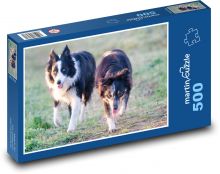 Pár psů - kolie, mazlíček Puzzle 500 - 46x30 cm