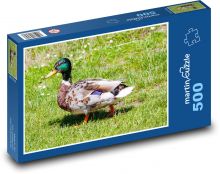 Stockente - männliche Ente, Ente Puzzle 500 Teile - 46 x 30 cm