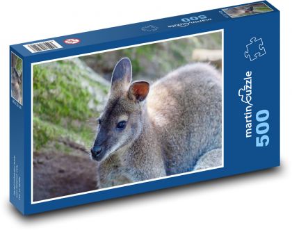 Kangaroo - marsupial, animal - Puzzle of 500 pieces, size 46x30 cm 