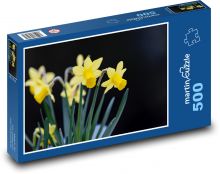 Narcisy - žluté květy, jaro Puzzle 500 dílků - 46 x 30 cm