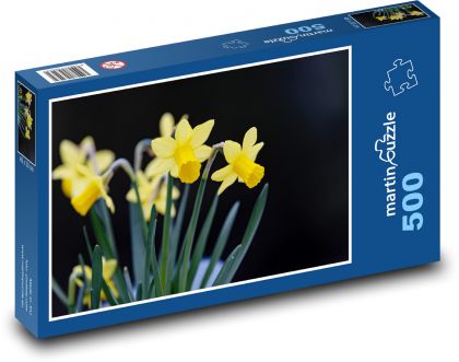 Narcisy - žluté květy, jaro - Puzzle 500 dílků, rozměr 46x30 cm