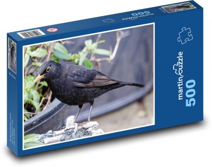 Kos - černý pták, zvíře - Puzzle 500 dílků, rozměr 46x30 cm