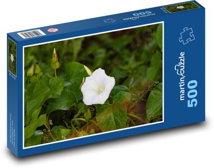 Morning glory - white flower, plant - Puzzle of 500 pieces, size 46x30 cm 