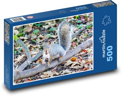 Grey squirrel - animal, rodent - Puzzle of 500 pieces, size 46x30 cm 
