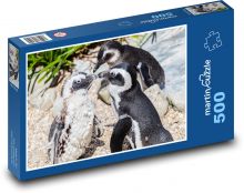 Brillenpinguin - Tier, im Zoo Puzzle 500 Teile - 46 x 30 cm