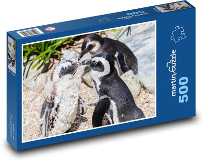 Tučňák brýlový - zvíře, v zoo - Puzzle 500 dílků, rozměr 46x30 cm