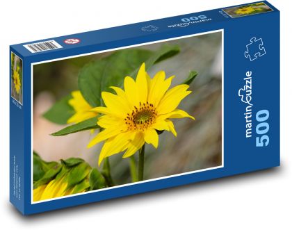 Slunečnice - žlutý květ, květina  - Puzzle 500 dílků, rozměr 46x30 cm