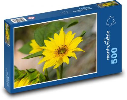 Sunflower - yellow flower, flower - Puzzle of 500 pieces, size 46x30 cm 