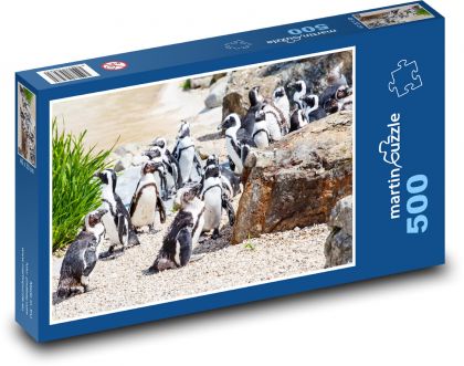 Skupina tučňáků - zoo, tučňák brýlový - Puzzle 500 dílků, rozměr 46x30 cm