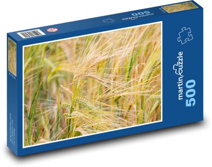 Pole pšenice - sklizeň, zemědělství  - Puzzle 500 dílků, rozměr 46x30 cm