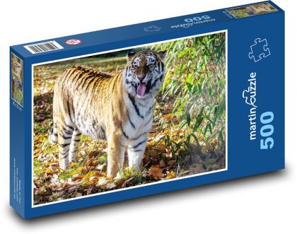 Tygr amurský - masožravec, lovec - Puzzle 500 dílků, rozměr 46x30 cm