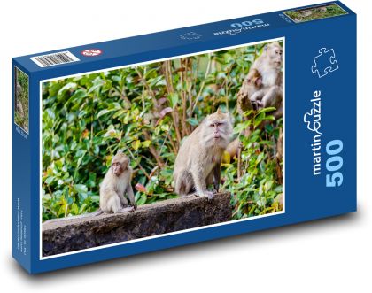 Małpa w dżungli - makak, drzewo - Puzzle 500 elementów, rozmiar 46x30 cm