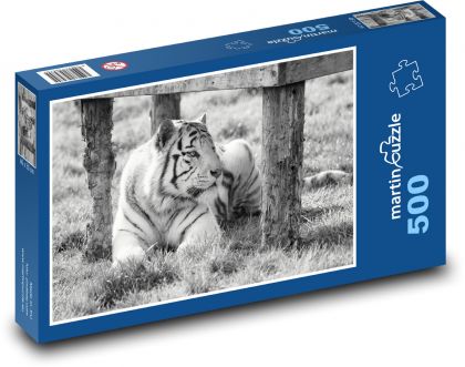 Bílý tygr - zajetí, zoo - Puzzle 500 dílků, rozměr 46x30 cm