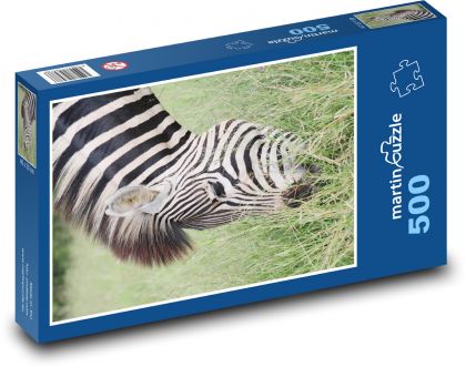 Zebra - pruhované zvíře, Afrika - Puzzle 500 dílků, rozměr 46x30 cm