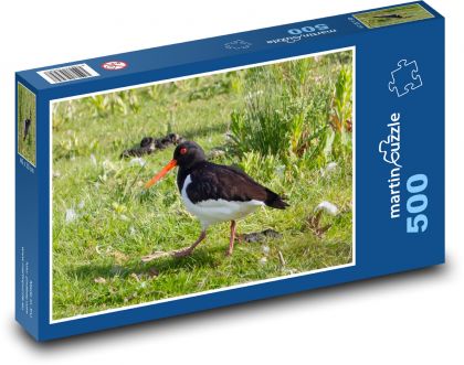 Vodní pták - oranžový zobák, peří - puzzle 500 dílků