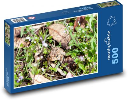 Frog in the grass - amphibian, toad - Puzzle of 500 pieces, size 46x30 cm 
