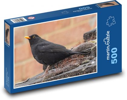 Černý kos - pták, oranžový zobák - Puzzle 500 dílků, rozměr 46x30 cm
