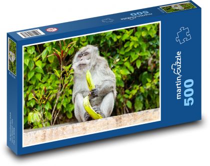 Makak a banán - opice, jíst - puzzle 500 dílků