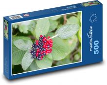 Červené bobule - olistění, listy Puzzle 500 dílků - 46 x 30 cm