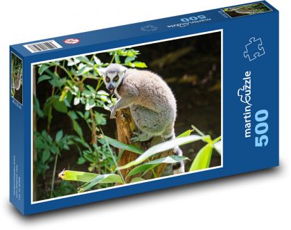 Lemur - zviře, Madagaskar - Puzzle 500 dílků, rozměr 46x30 cm