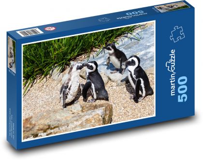 Tučniak okuliarový - vták, zviera - Puzzle 500 dielikov, rozmer 46x30 cm 