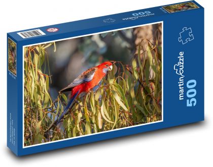 Papoušek - rozela, pták - Puzzle 500 dílků, rozměr 46x30 cm