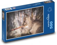 Klokan - mládě, Austrálie Puzzle 500 dílků - 46 x 30 cm