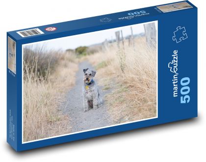 Schnoodle - zwierzak, pies - Puzzle 500 elementów, rozmiar 46x30 cm