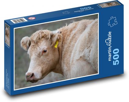 Kuh - Rinder, Rinder - Puzzle - 500 Teile