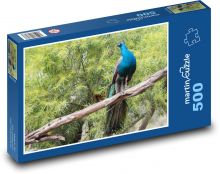 Páv - pták, barevé peří Puzzle 500 dílků - 46 x 30 cm