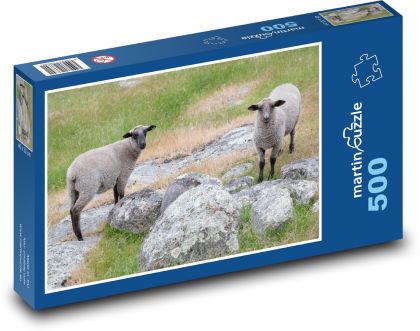 Owce - pastwisko, gospodarstwo - Puzzle 500 elementów, rozmiar 46x30 cm