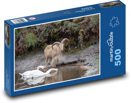 Ovce - labuť, zvířata - Puzzle 500 dílků, rozměr 46x30 cm