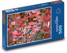 Winorośl - liście, jesień Puzzle 500 elementów - 46x30 cm